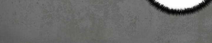 Tạng Phong Hành Chapter 199 trang 27