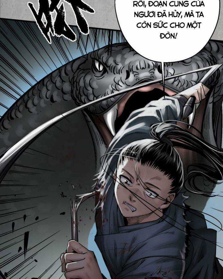 Tạng Phong Hành Chapter 203 trang 4