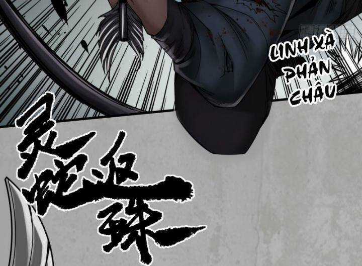 Tạng Phong Hành Chapter 203 trang 5