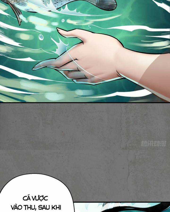 Tạng Phong Hành Chapter 213 trang 45