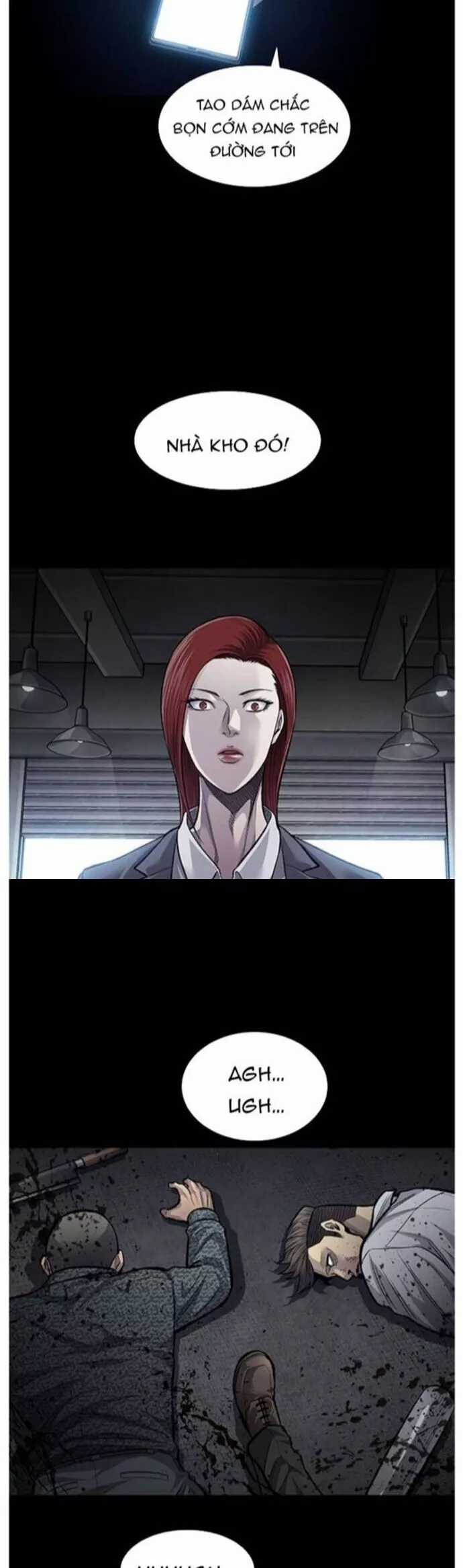 Tao Là Công Lý Chapter 96 trang 14