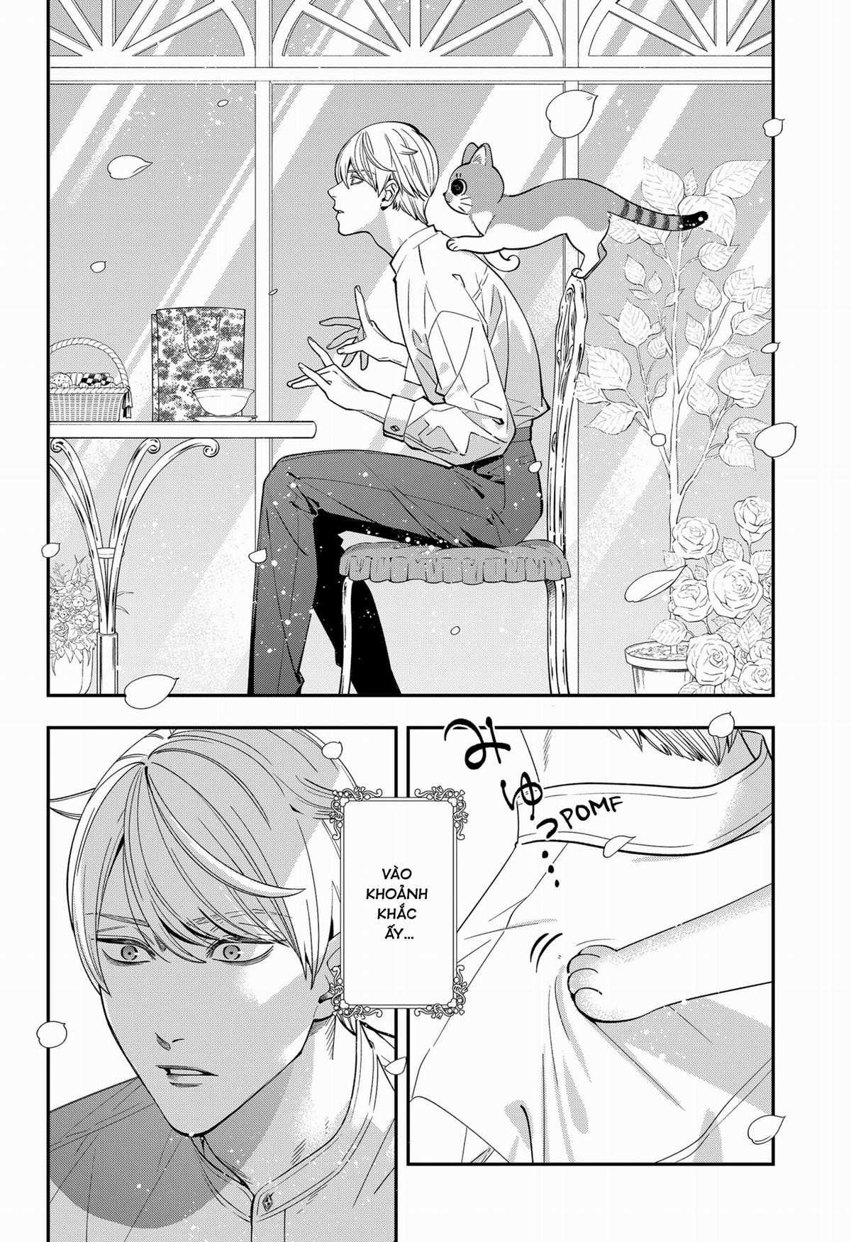 Taro Miyao Becomes A Cat Parent?! Chapter 1 trang 11