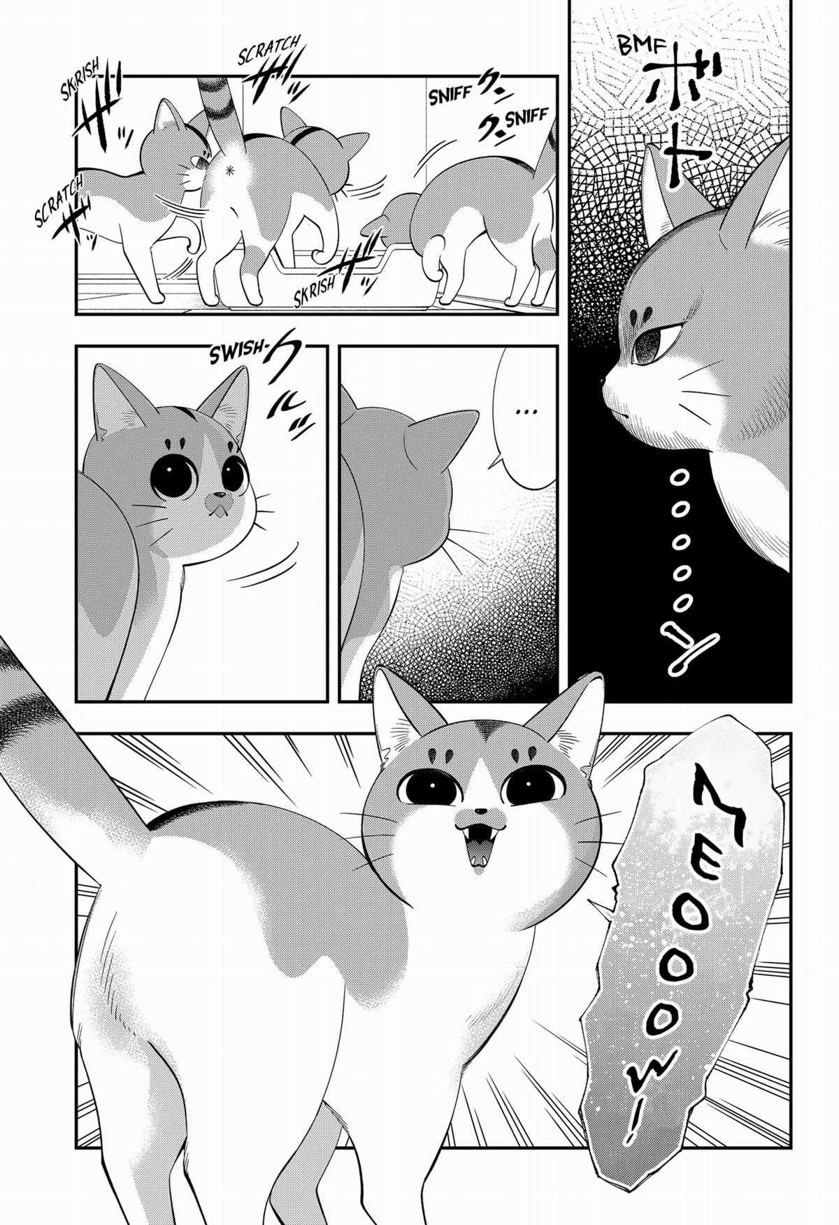 Taro Miyao Becomes A Cat Parent?! Chapter 1 trang 44