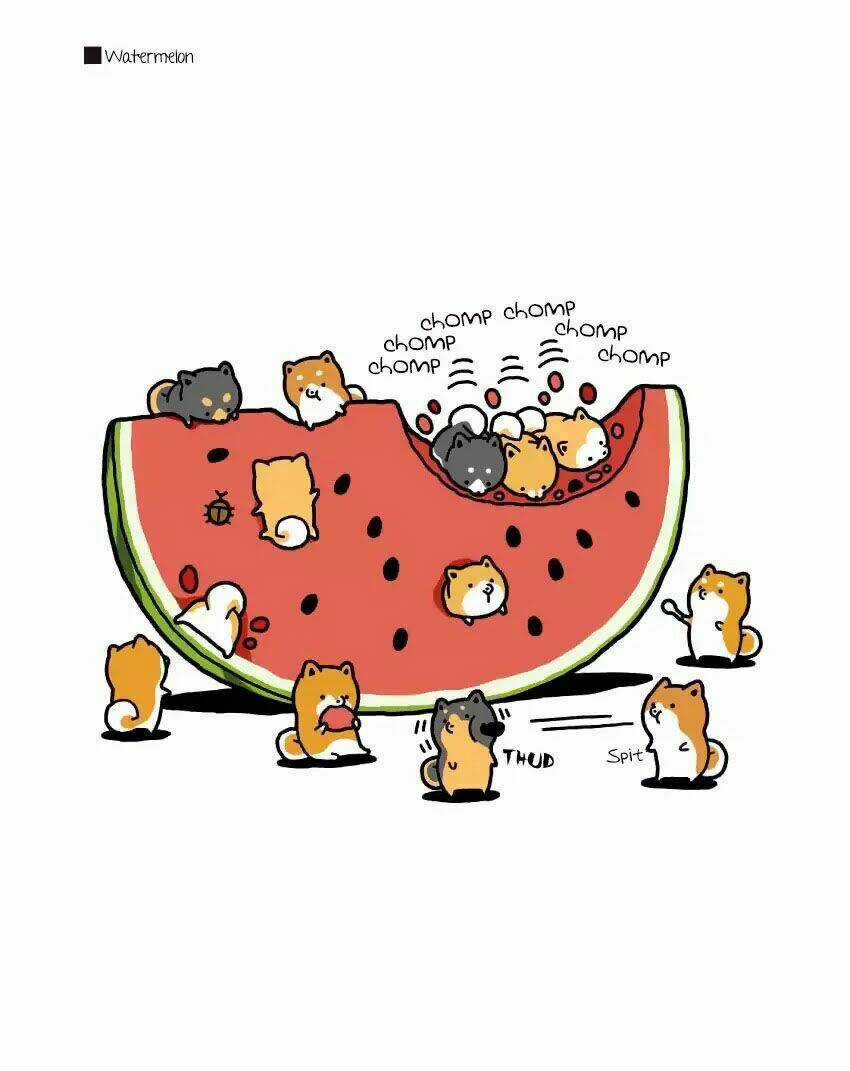 Taru Shiba Chapter 1 trang 19