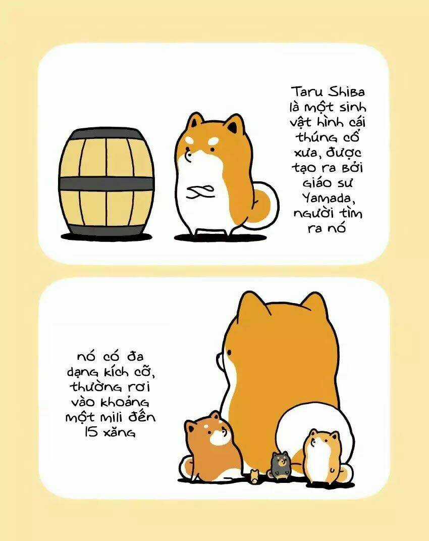 Taru Shiba Chapter 1 trang 6