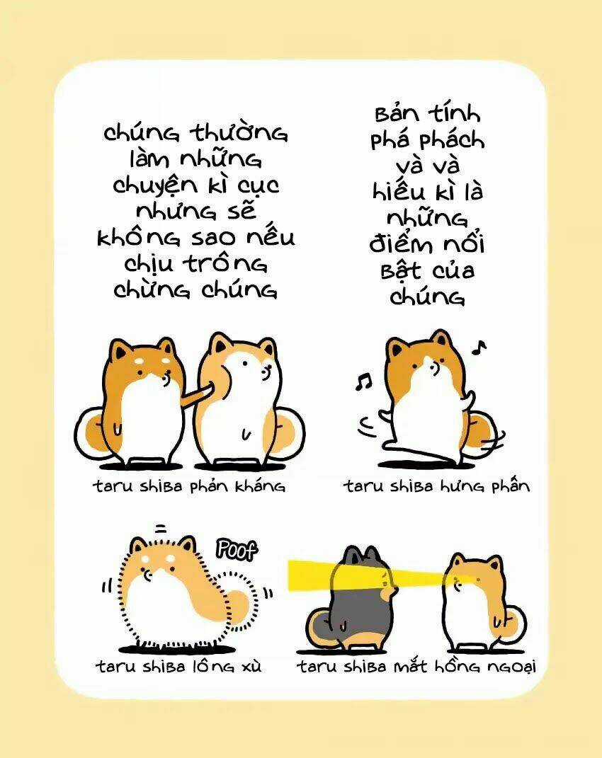 Taru Shiba Chapter 1 trang 7