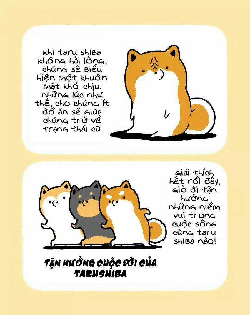 Taru Shiba Chapter 1 trang 8
