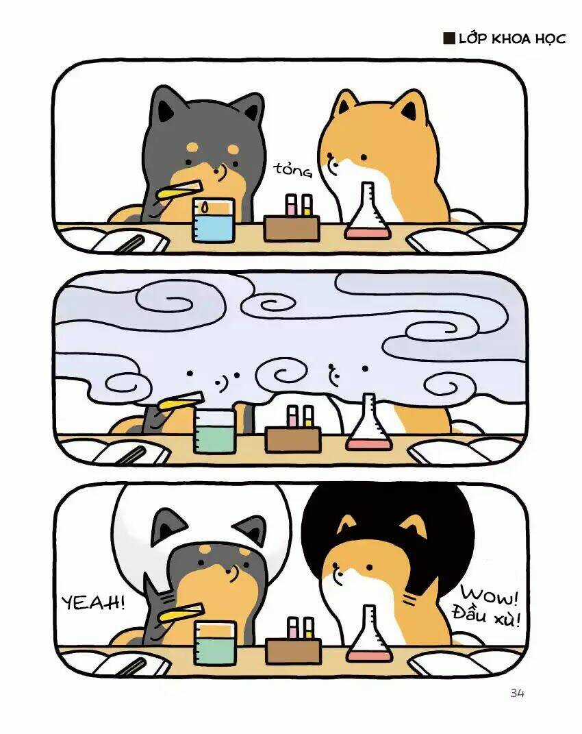 Taru Shiba Chapter 2 trang 14