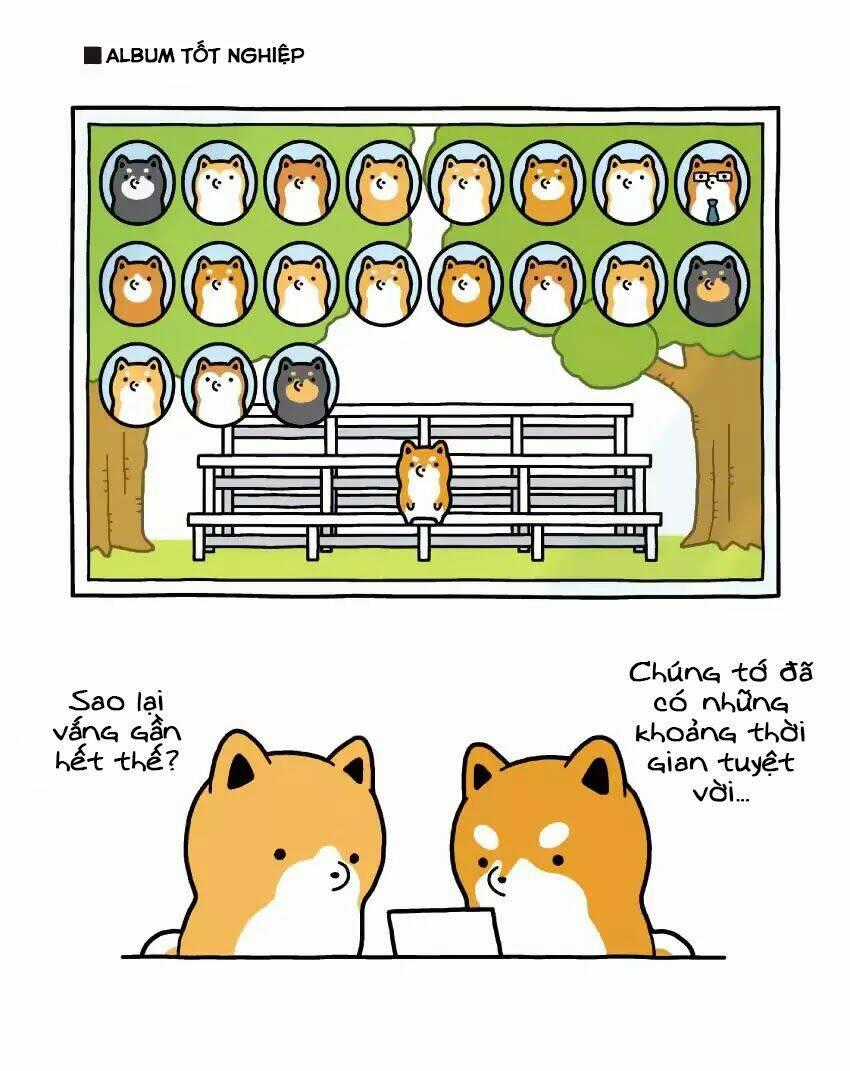 Taru Shiba Chapter 2 trang 15