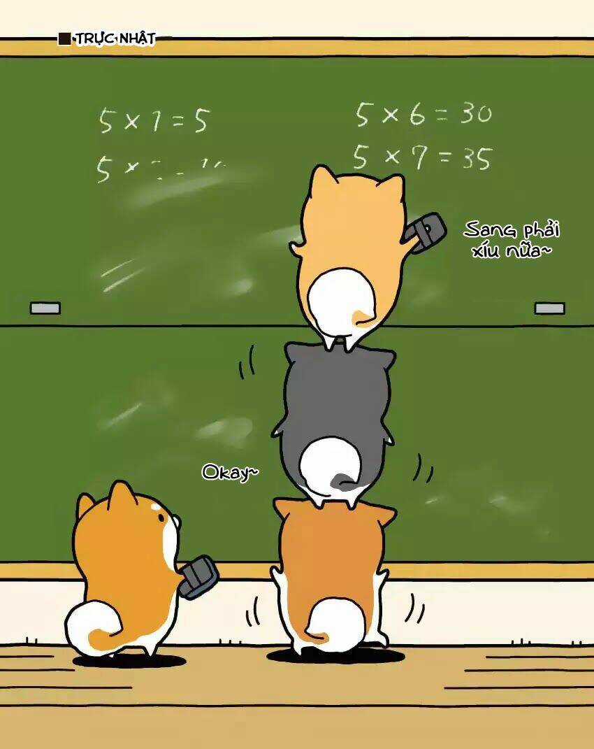 Taru Shiba Chapter 2 trang 5