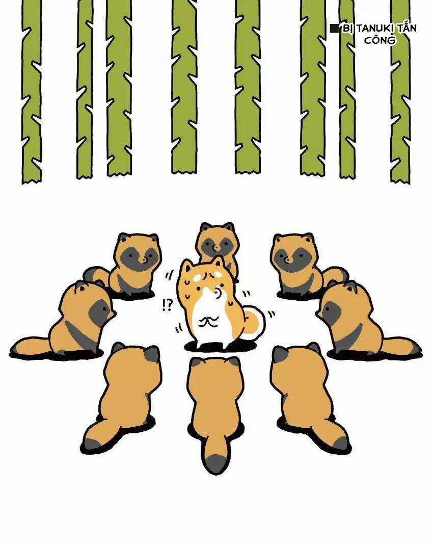 Taru Shiba Chapter 4 trang 12