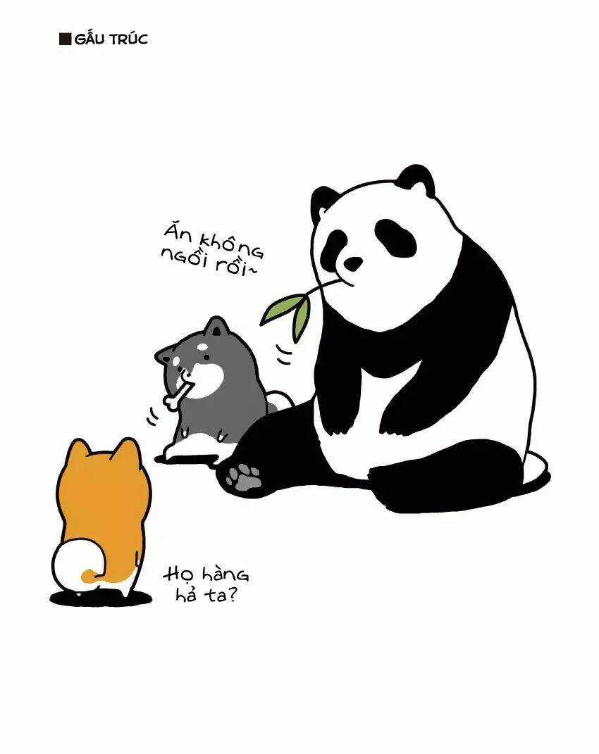 Taru Shiba Chapter 4 trang 13