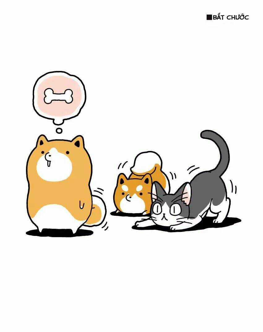 Taru Shiba Chapter 4 trang 14