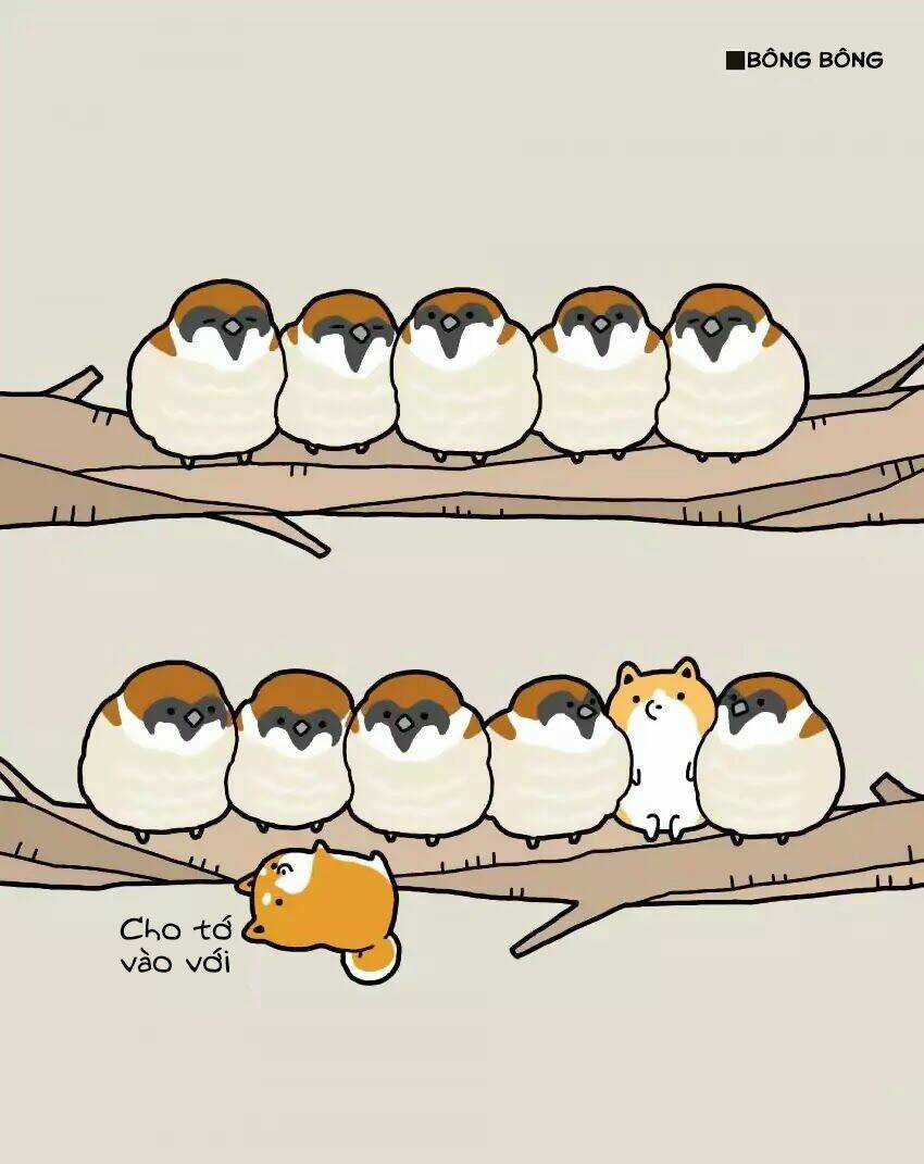 Taru Shiba Chapter 4 trang 6