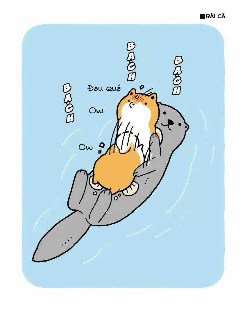 Taru Shiba Chapter 4 trang 8