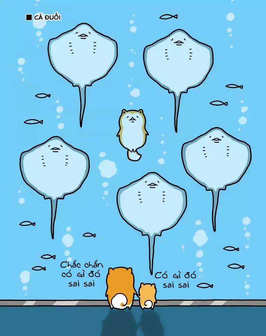 Taru Shiba Chapter 4 trang 9