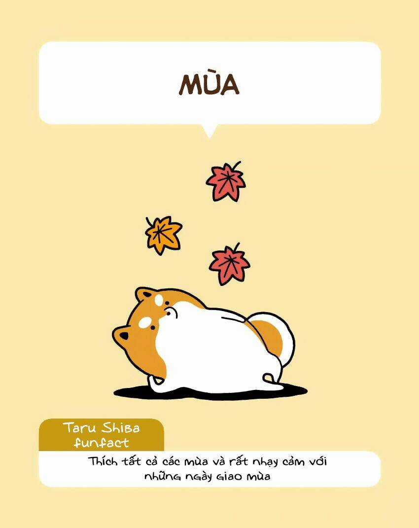 Taru Shiba Chapter 6 trang 3