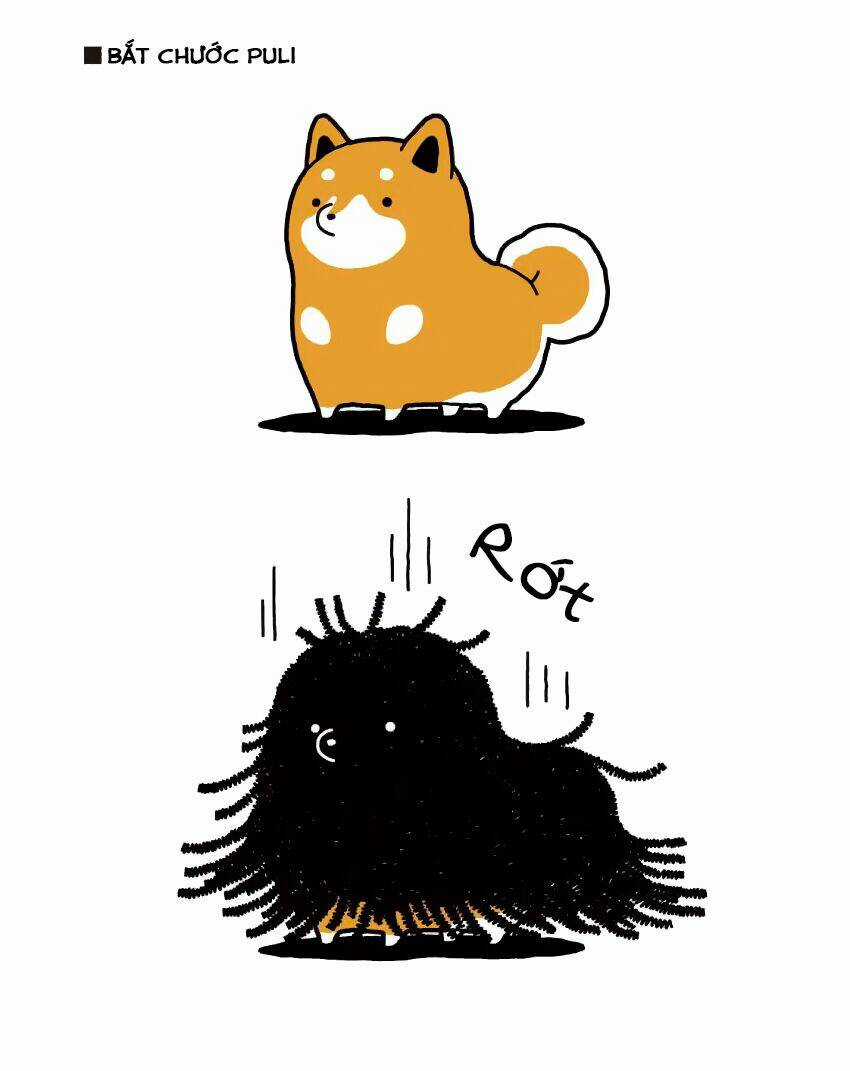 Taru Shiba Chapter 7 trang 11