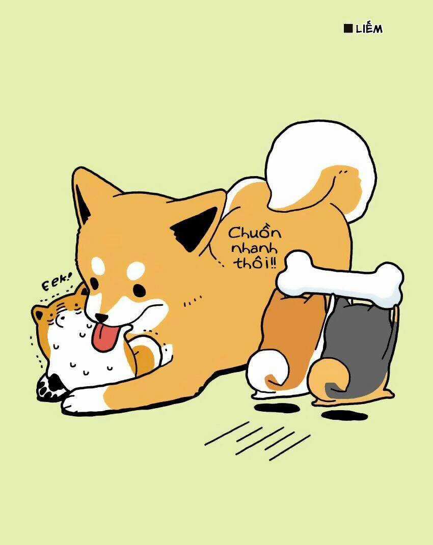 Taru Shiba Chapter 7 trang 12