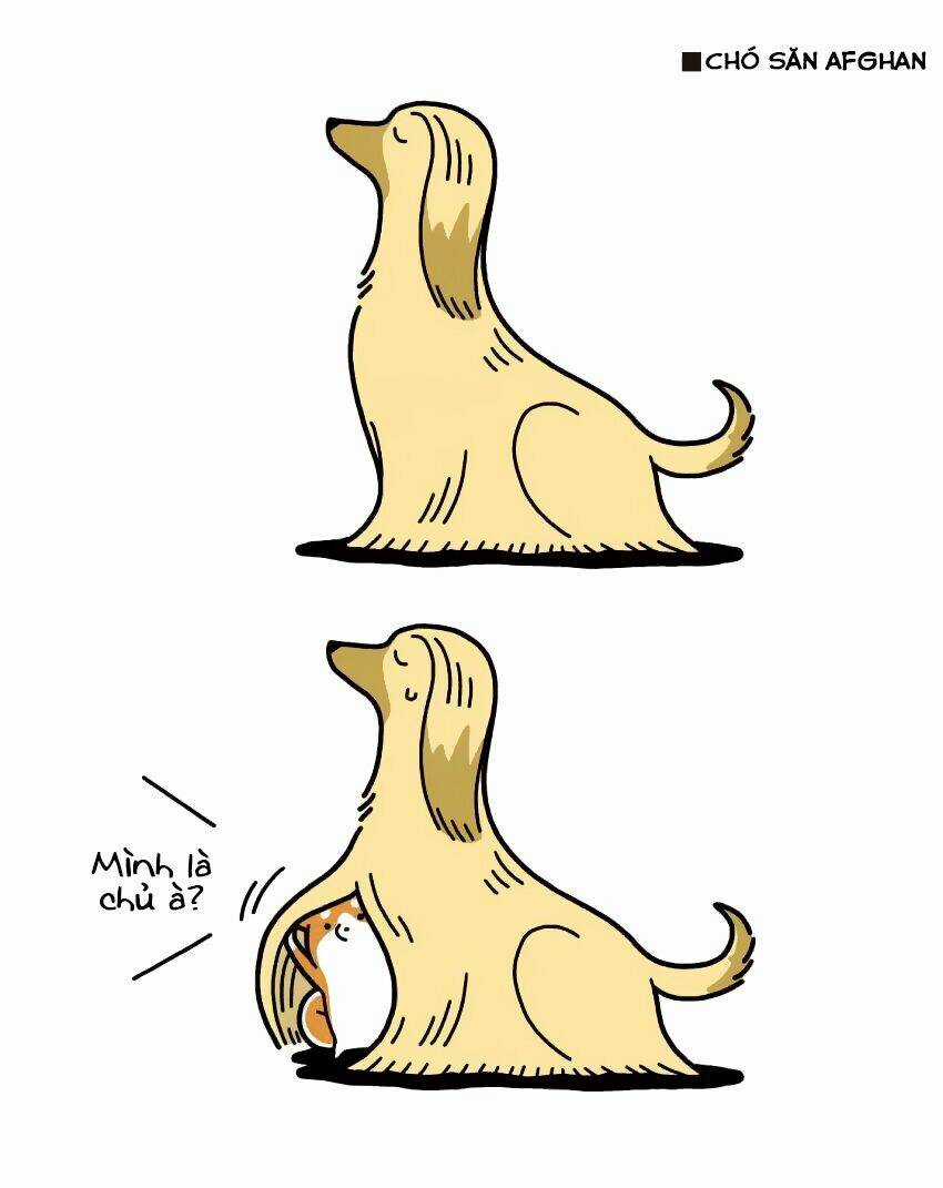 Taru Shiba Chapter 7 trang 4