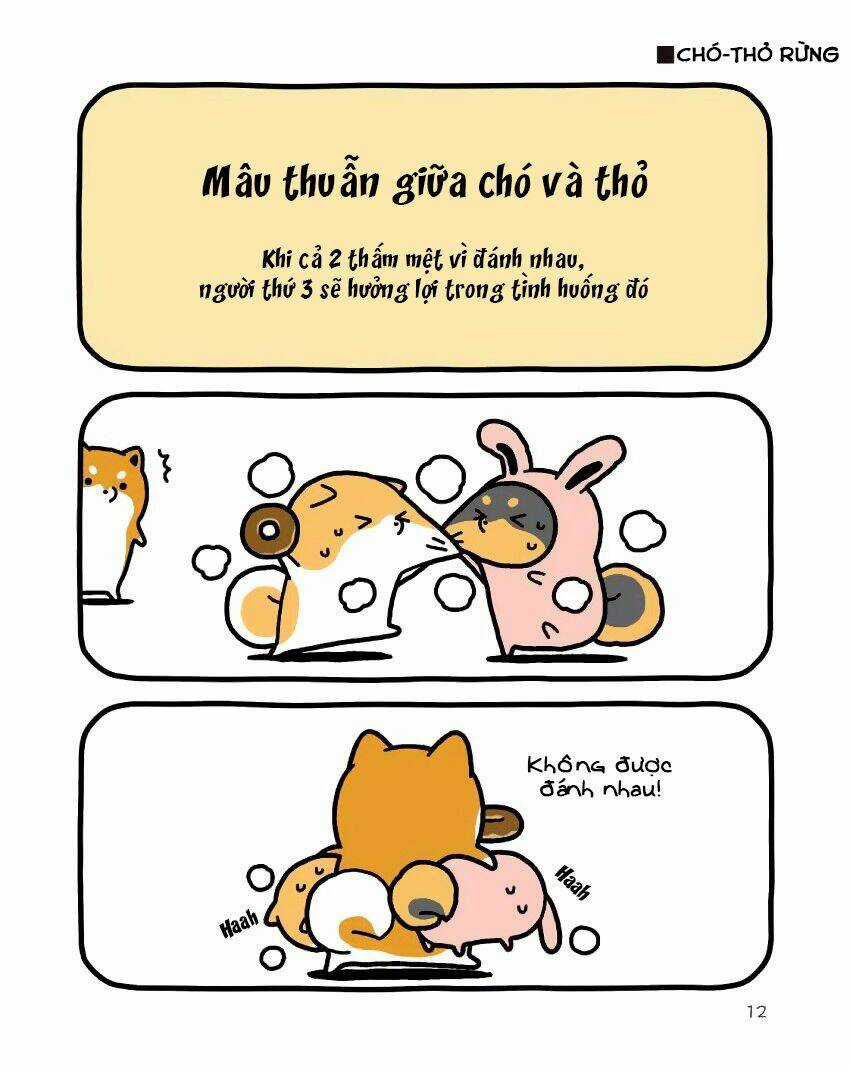 Taru Shiba Chapter 9 trang 12