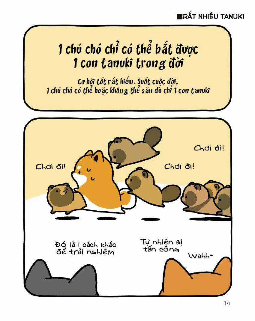 Taru Shiba Chapter 9 trang 14