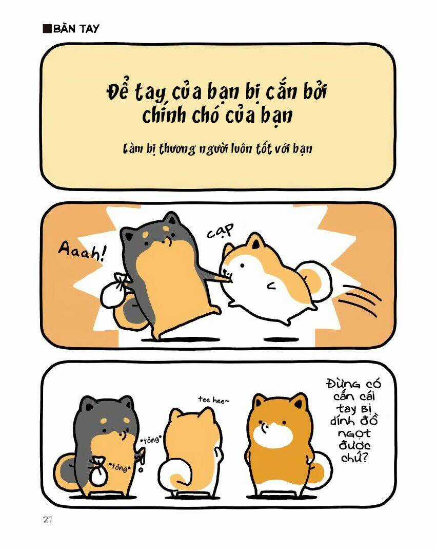 Taru Shiba Chapter 9 trang 21