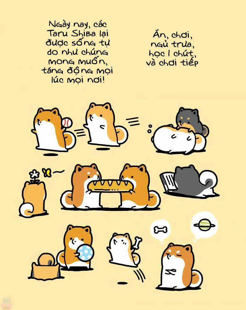 Taru Shiba Chapter 9 trang 7