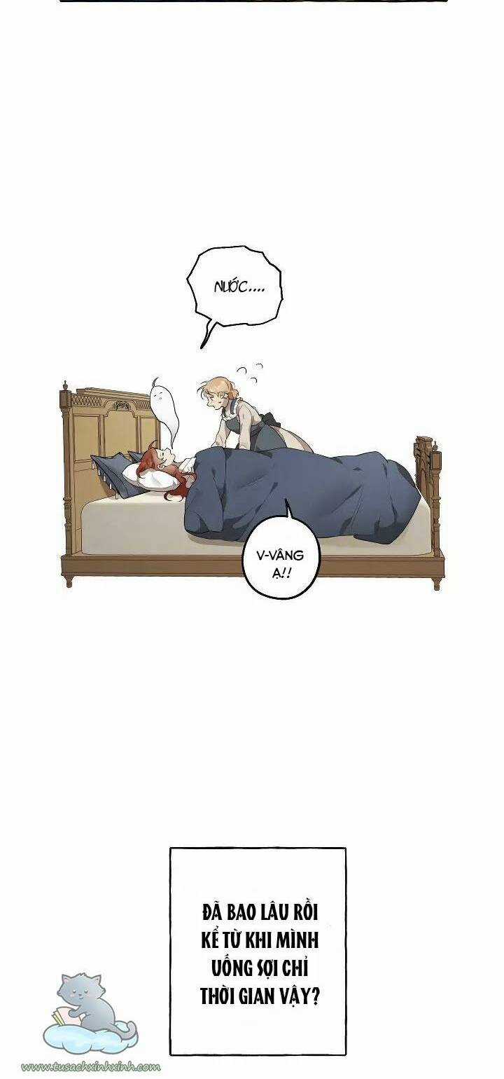 Tất Cả Chỉ Là Sai Lầm Chapter 11 trang 13