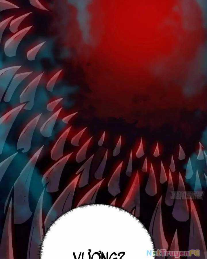 Tay Trái Của Ta Có Thể Dị Biến Chapter 51 trang 28