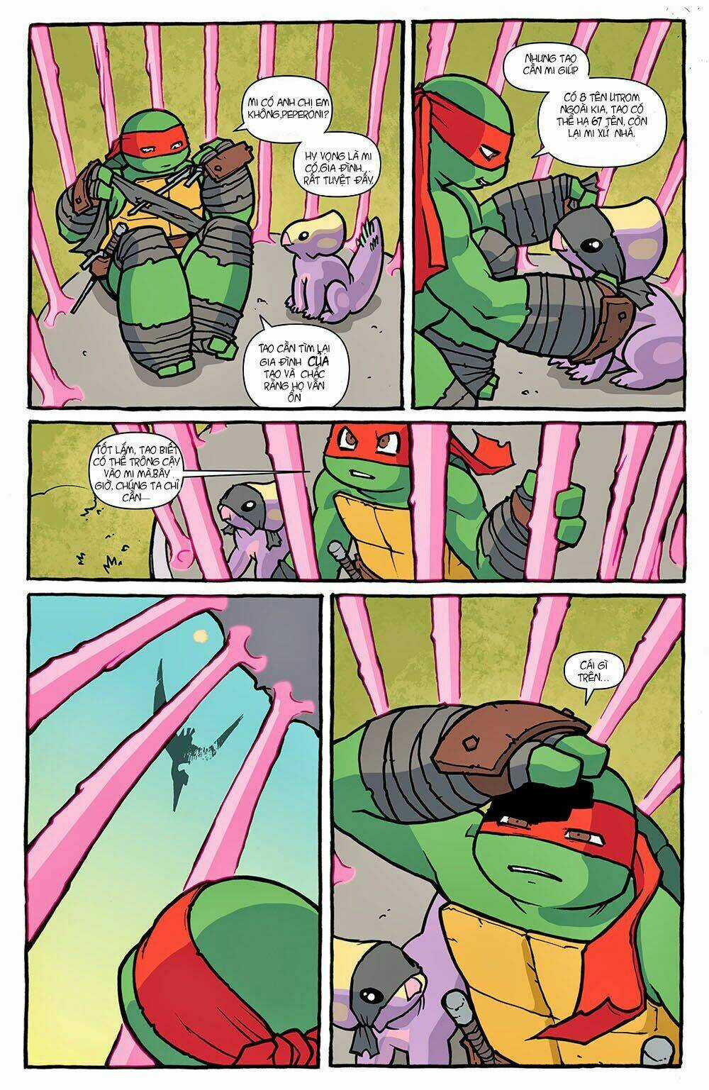 Teenage Mutant Ninja Heroes: Turtles In Time Chapter 1 trang 13