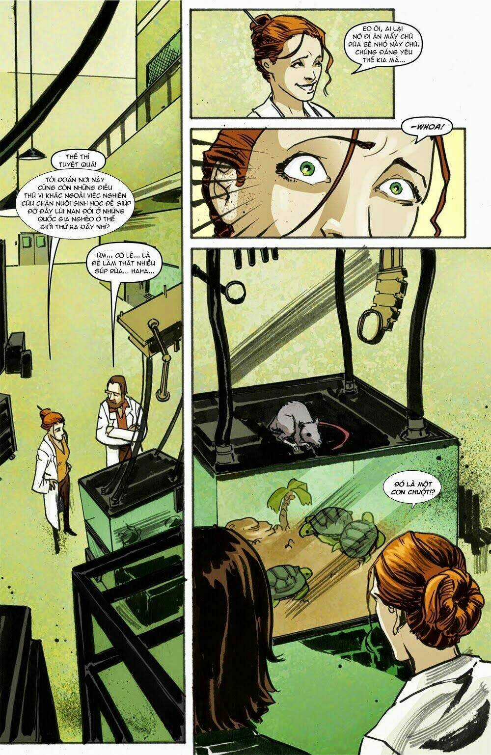 Teenage Mutant Ninja Turtles (Tmnt) Chapter 1 trang 12