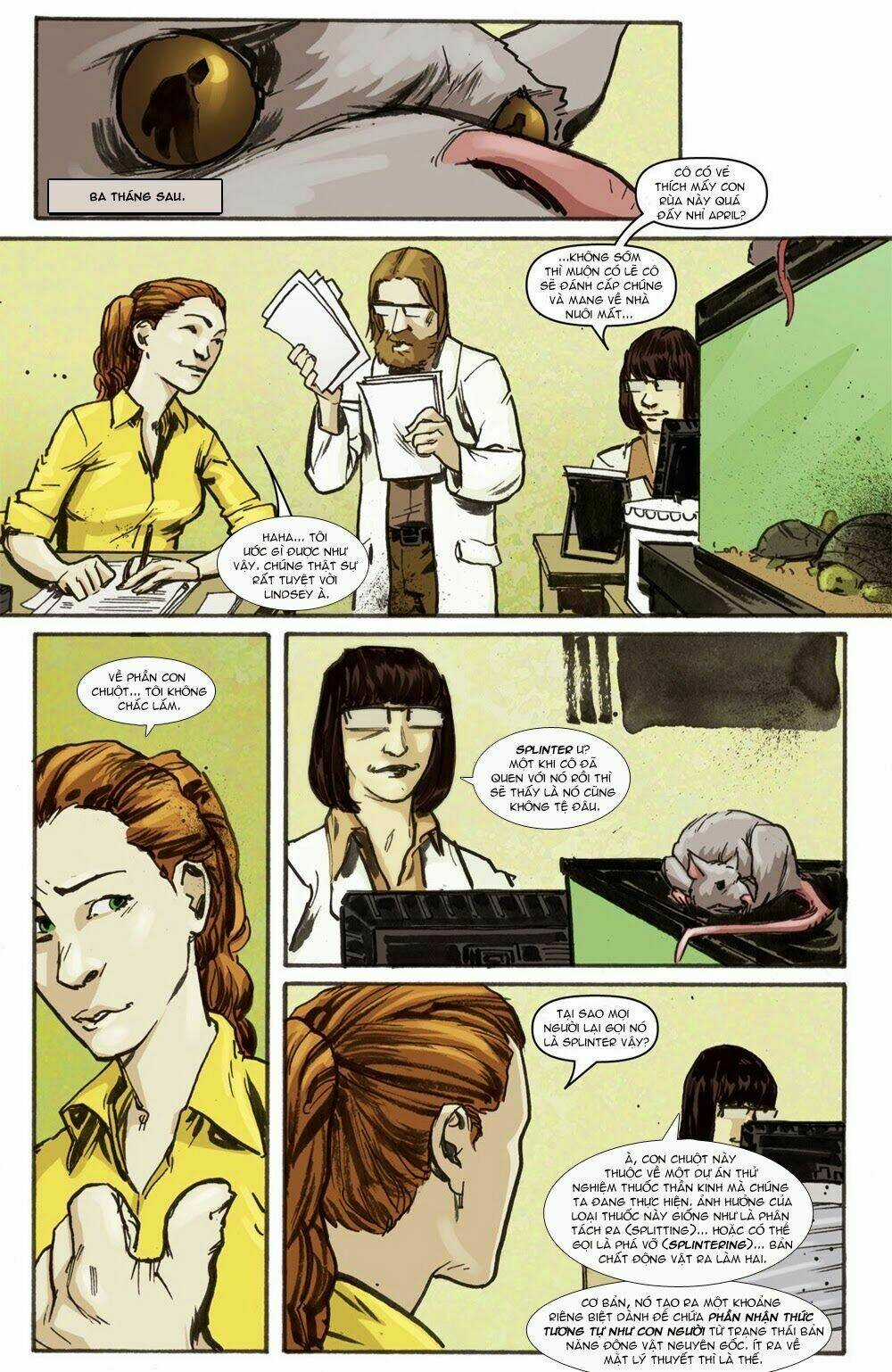 Teenage Mutant Ninja Turtles (Tmnt) Chapter 1 trang 16