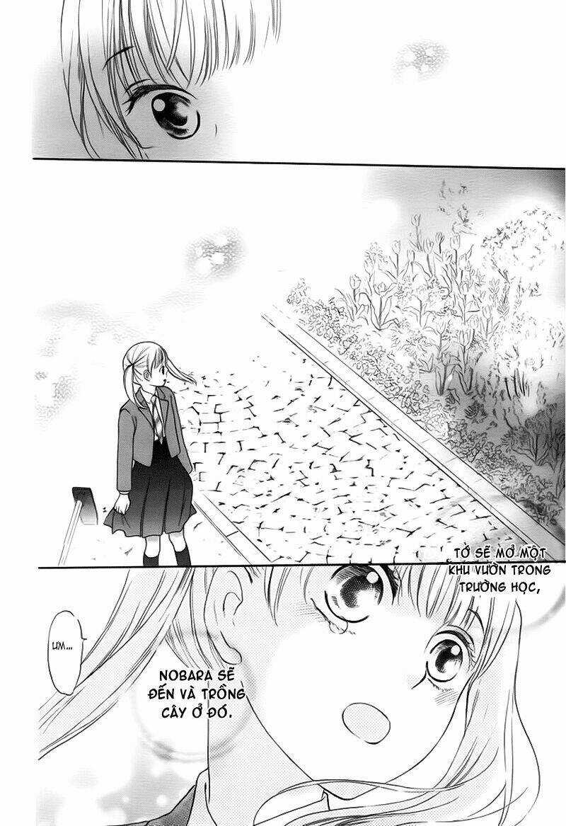 Teki Wa Ousama Chapter 1 trang 33