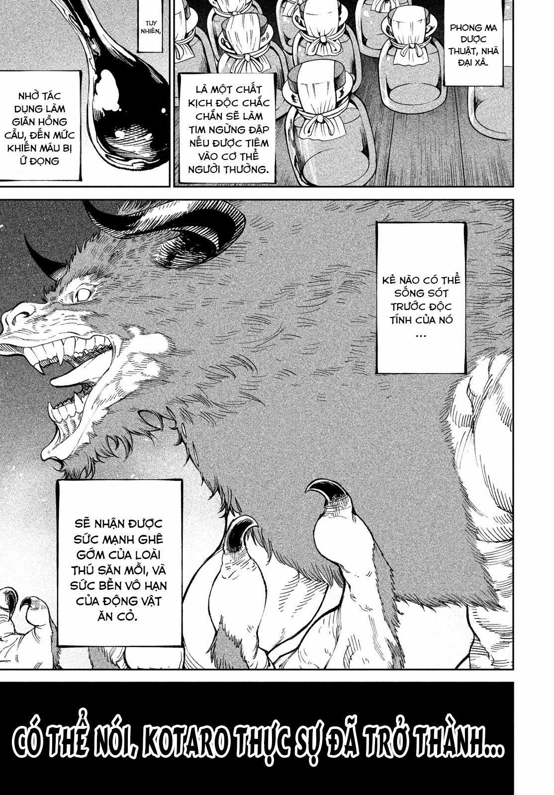 Tenkaichi - Thiên Hạ Đệ Nhất Võ Sĩ Đại Hội Chapter 11: Con thú và sợi xích trang 11