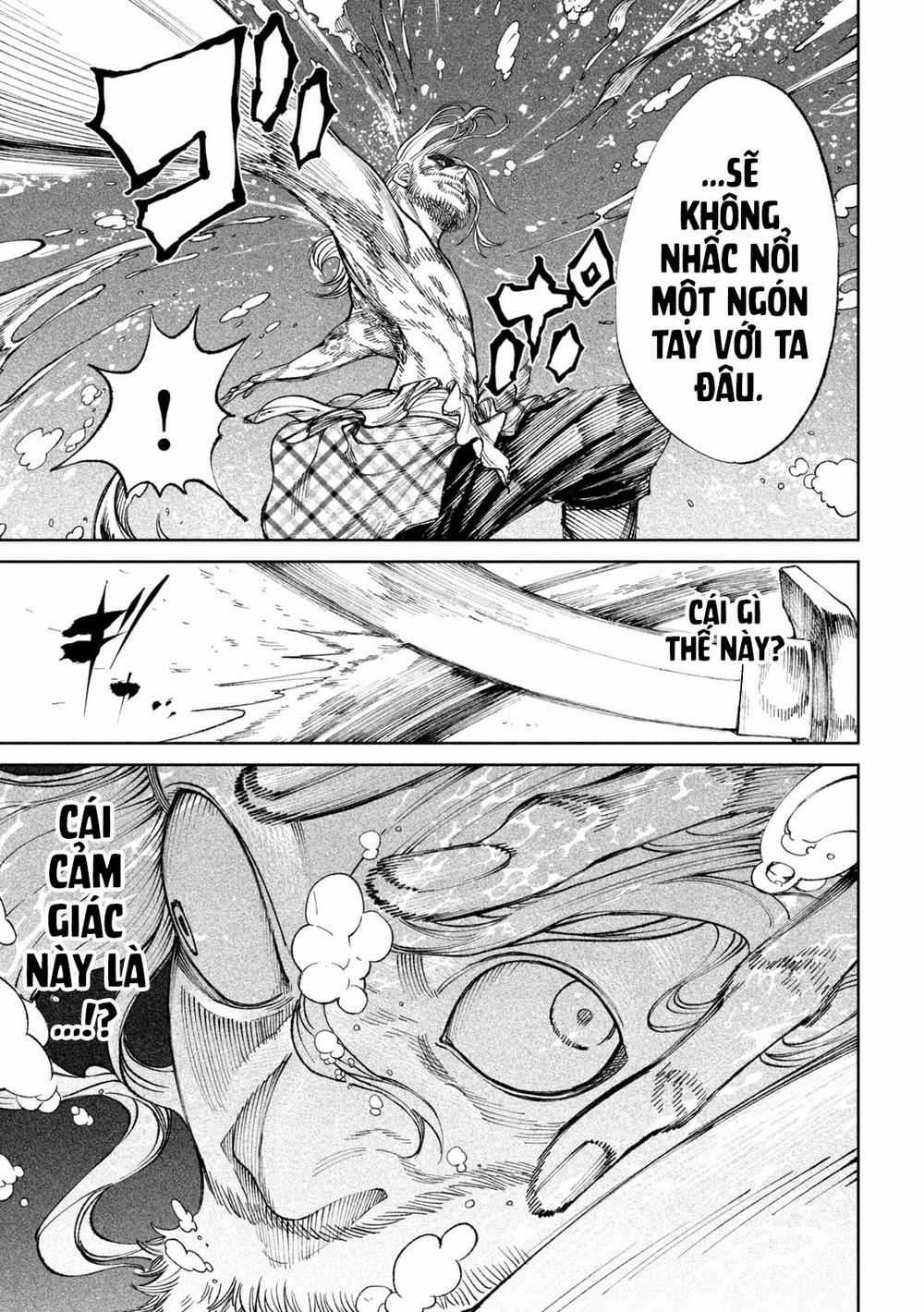 Tenkaichi - Thiên Hạ Đệ Nhất Võ Sĩ Đại Hội Chapter 15.5: Con Quái Vật Biển Khơi trang 29