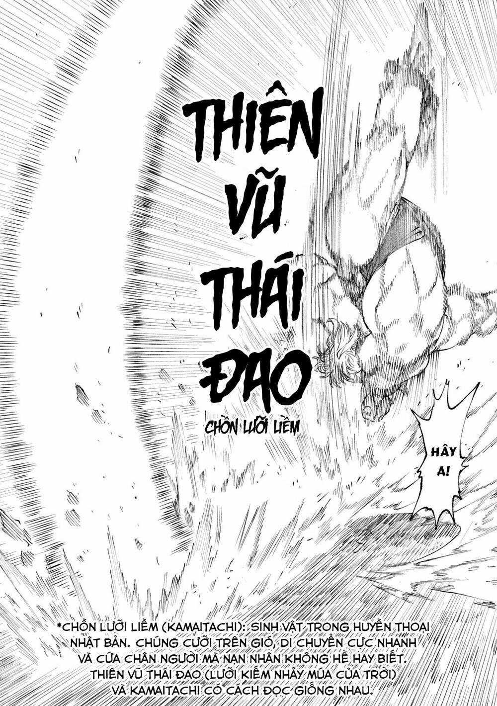 Tenkaichi - Thiên Hạ Đệ Nhất Võ Sĩ Đại Hội Chapter 20 trang 43