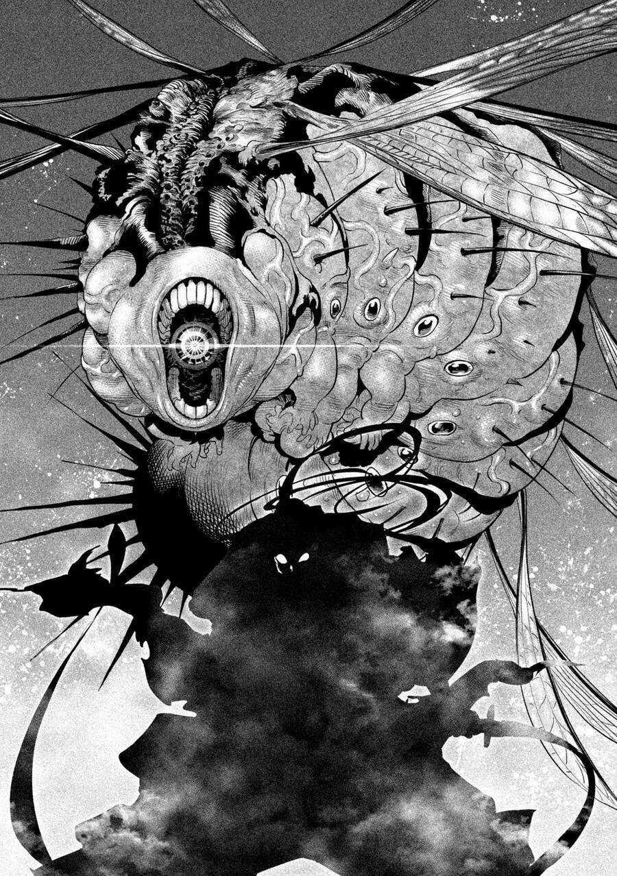 Tenkaichi - Thiên Hạ Đệ Nhất Võ Sĩ Đại Hội Chapter 29 trang 11