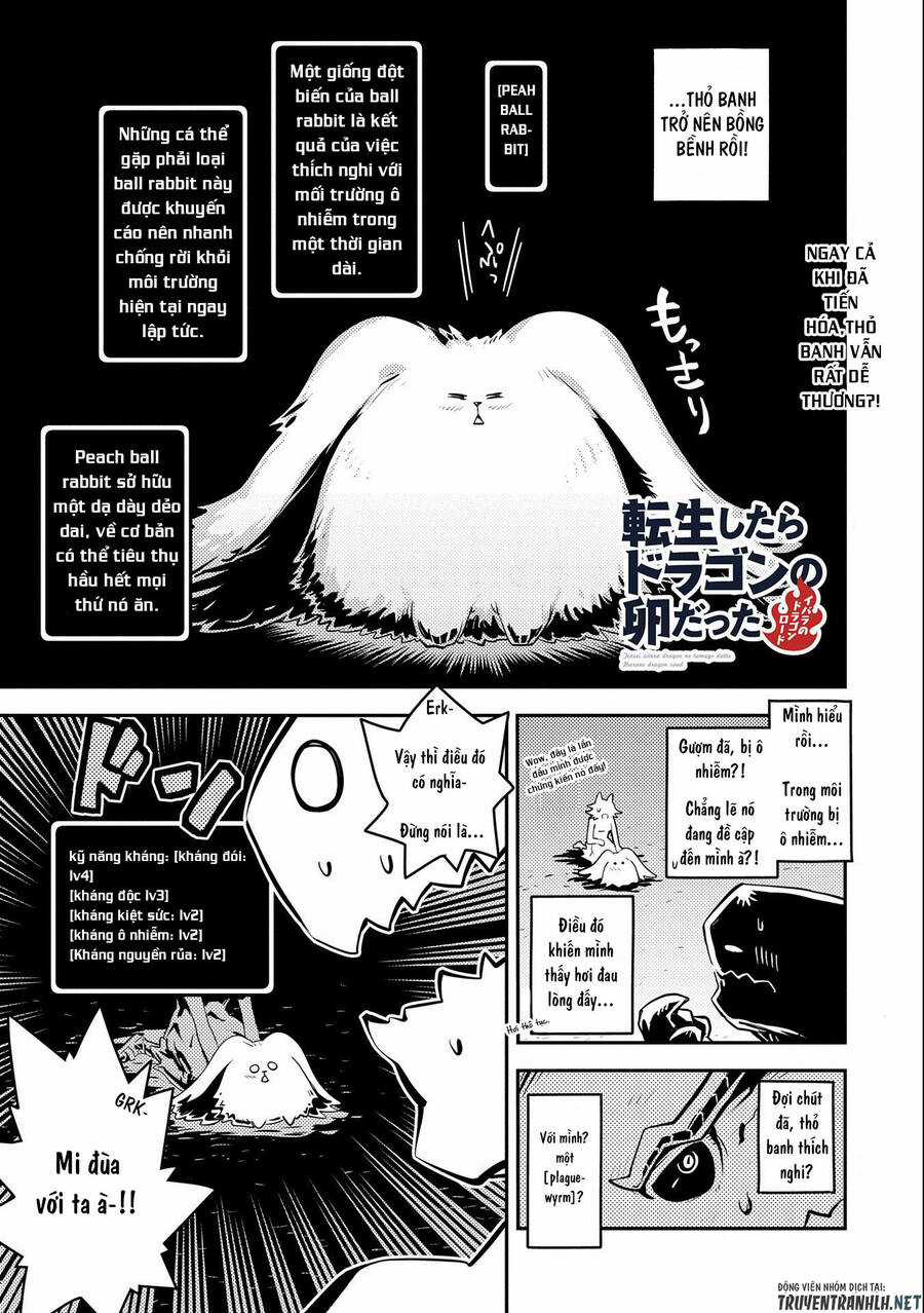 Tensei Shitara Dragon No Tamago Datta - Saikyou Igai Chapter 27 trang 0