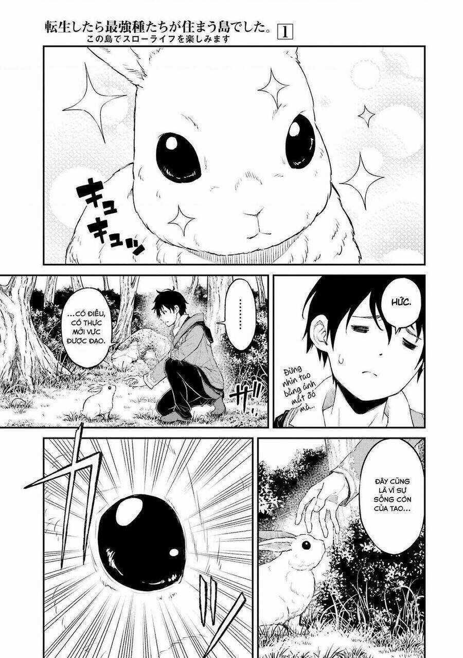 Tensei Shitara Saikyoushutachi Ga Sumau Shima Deshita. Kono Shima De Slow Life Wo Tanoshimasu Chapter 1 trang 17