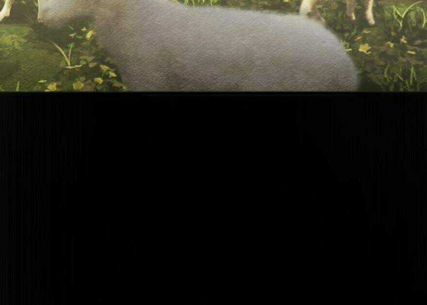 Thả Vu Nữ Đó Ra Chapter 9 trang 2