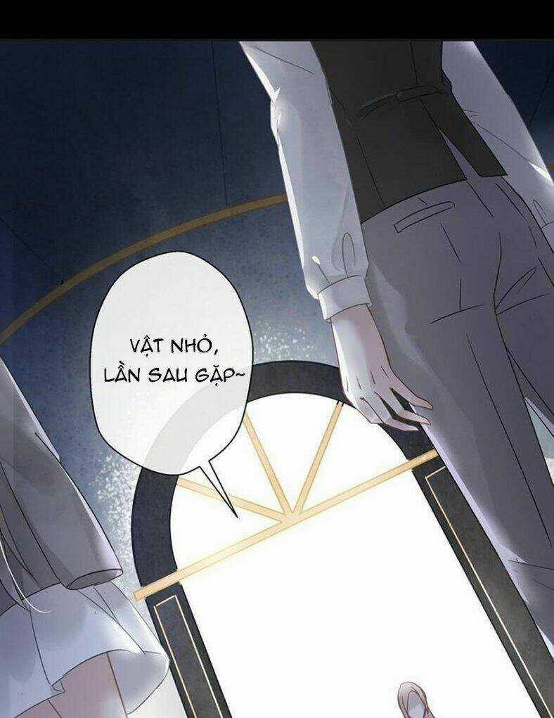 Thác Sủng Thiên Giá Danh Viên Chapter 12 trang 16