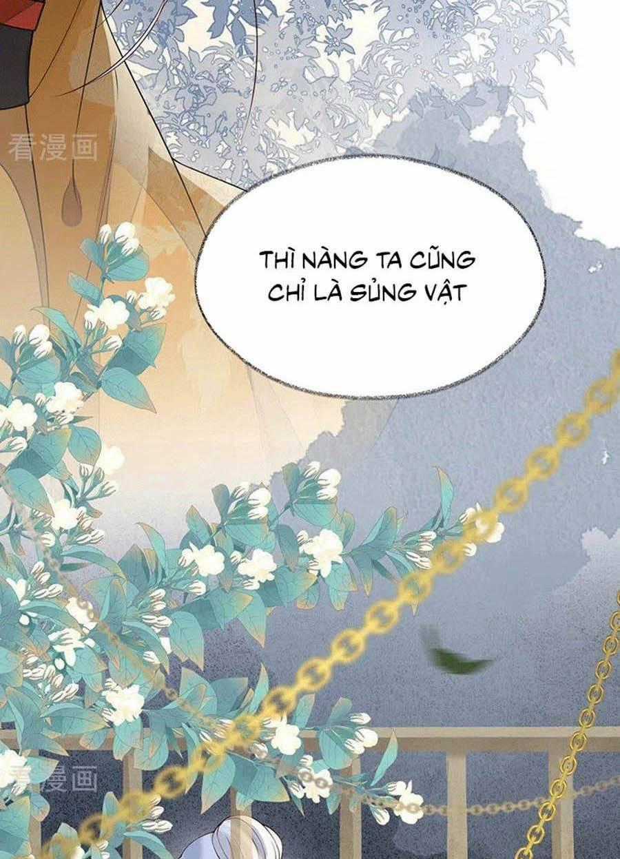 Thái Hậu Quân Hạ Thần Chapter 104 trang 1