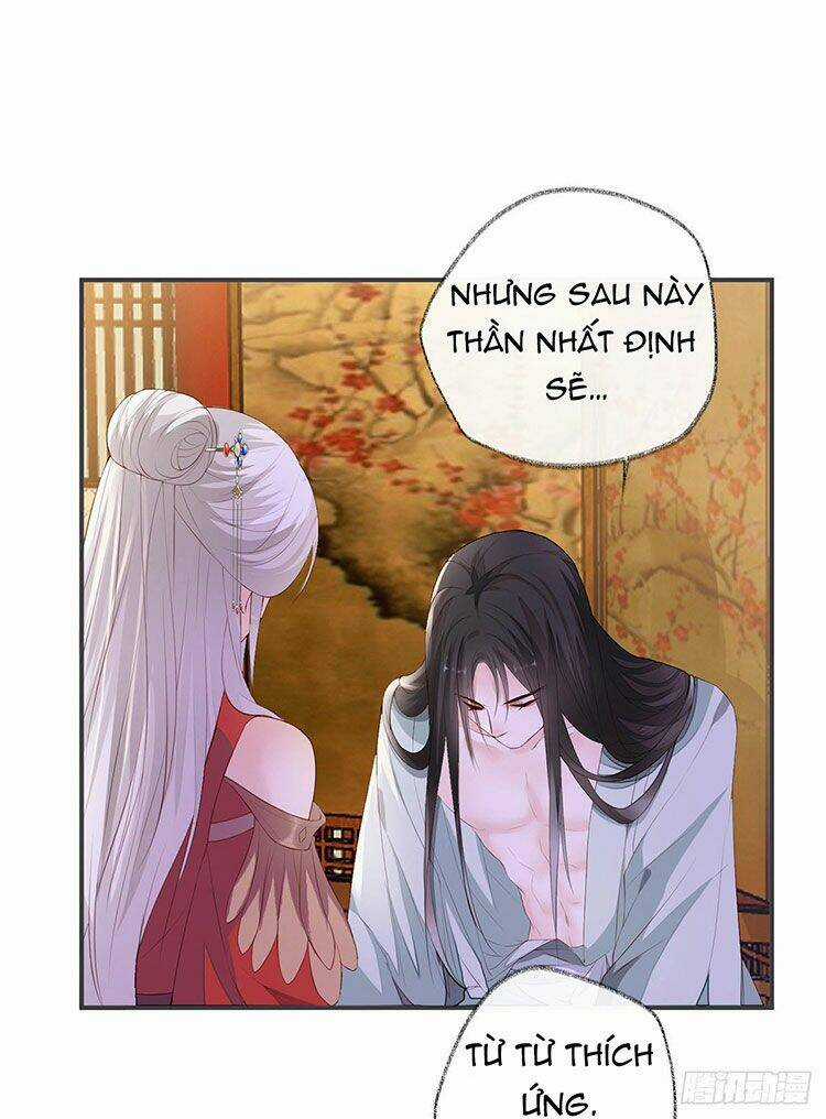 Thái Hậu Quân Hạ Thần Chapter 12.2 trang 11