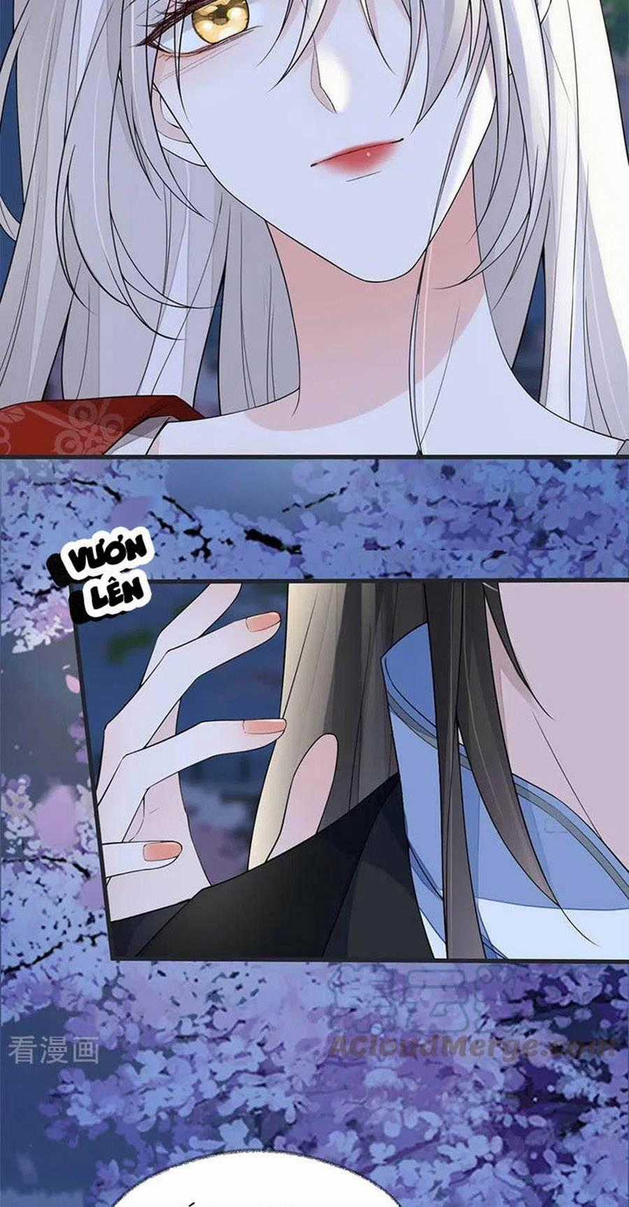 Thái Hậu Quân Hạ Thần Chapter 122 trang 1
