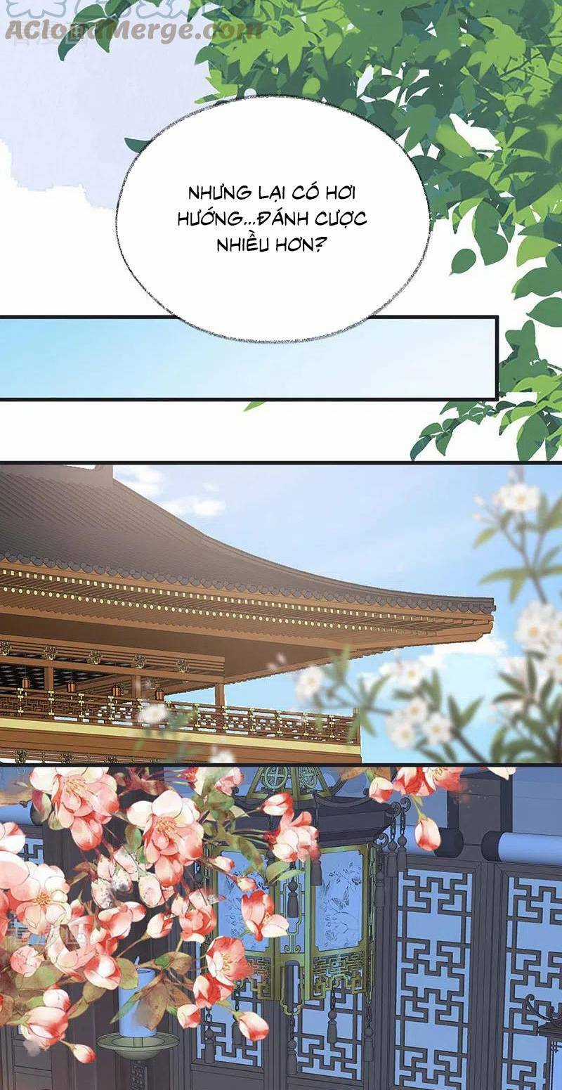 Thái Hậu Quân Hạ Thần Chapter 138 trang 16