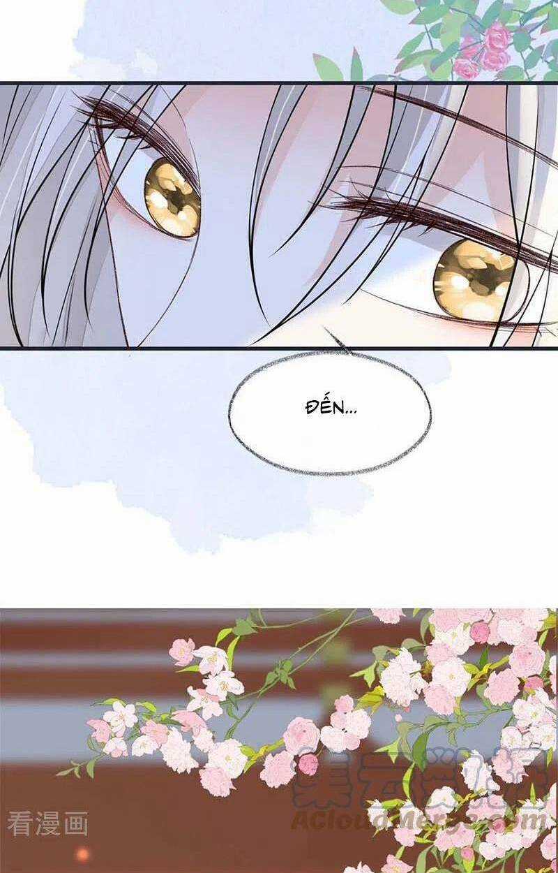 Thái Hậu Quân Hạ Thần Chapter 139 trang 24