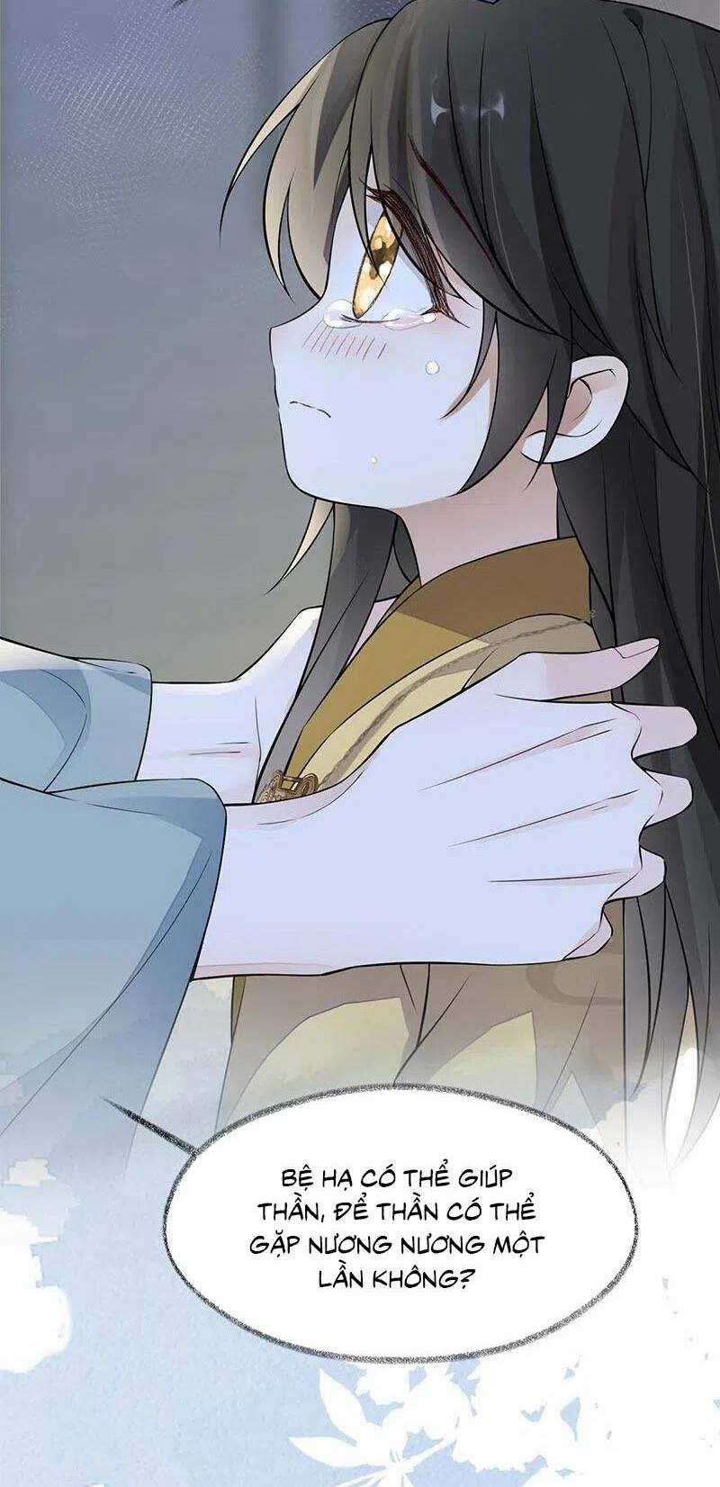 Thái Hậu Quân Hạ Thần Chapter 142 trang 28