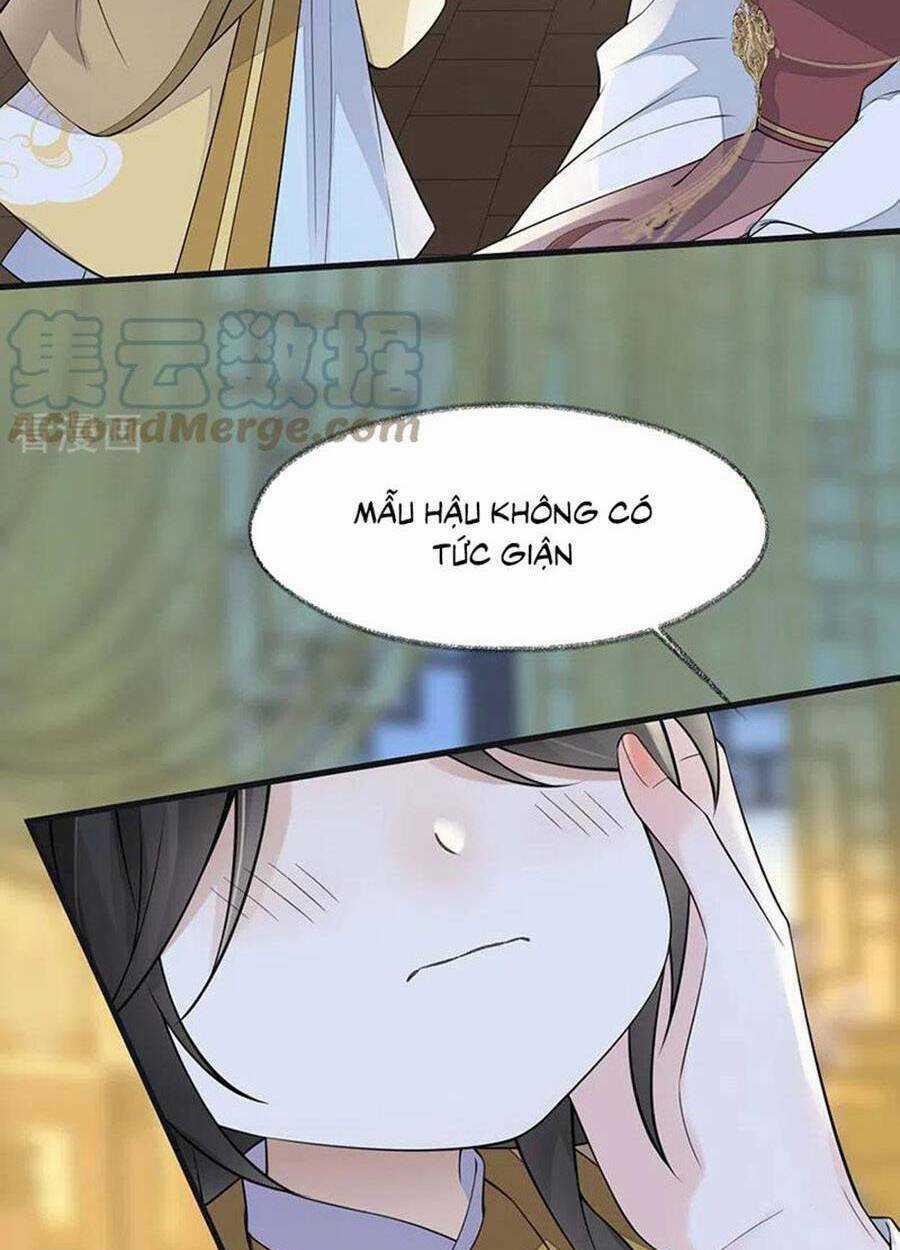 Thái Hậu Quân Hạ Thần Chapter 146 trang 6