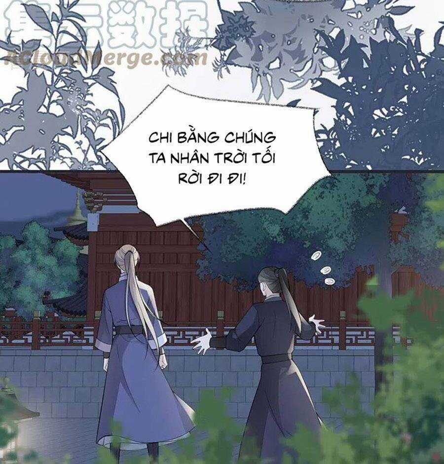 Thái Hậu Quân Hạ Thần Chapter 147 trang 17